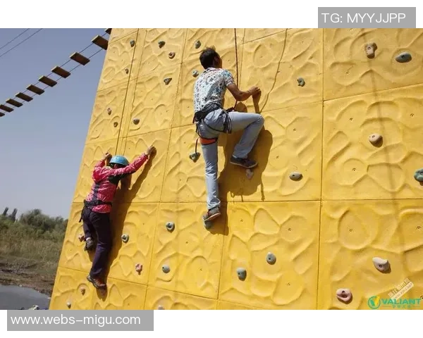 成都攀岩队员个人能力深度对比与分析揭示团队潜力与发展方向